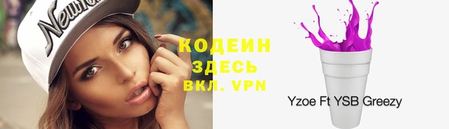 ешки Анжеро-Судженск