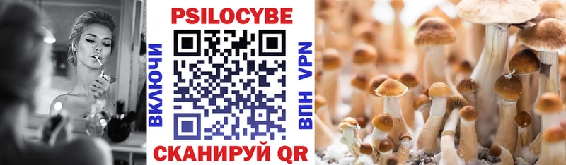 Псилоцибиновые грибы прущие грибы  Горняк 
